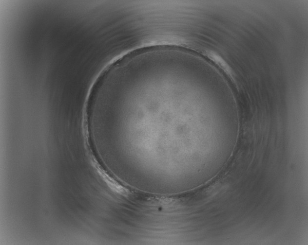 X0000072971072200607211217