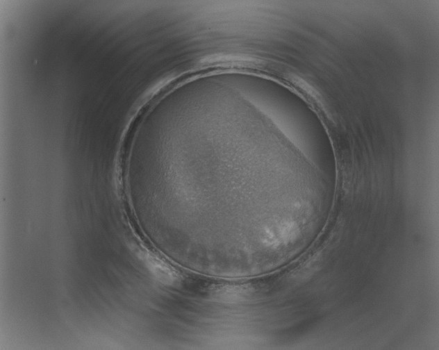 X0000072971074200607211217