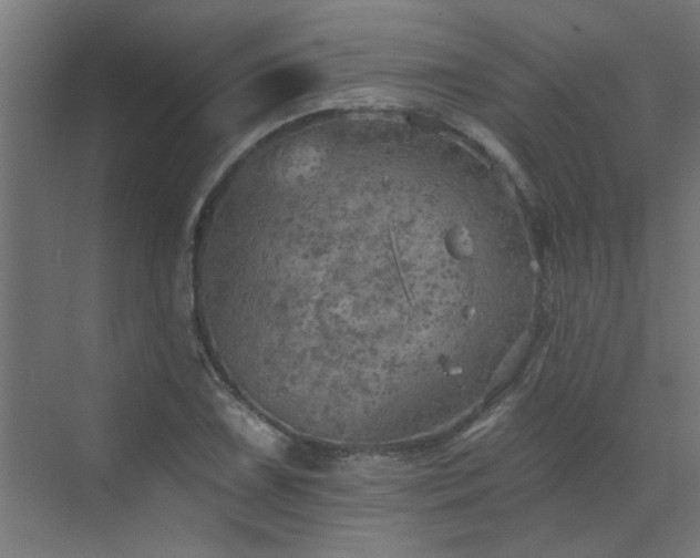 X0000072971075200607211217