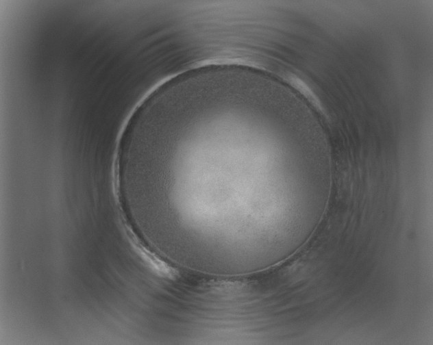 X0000072971076200607211217