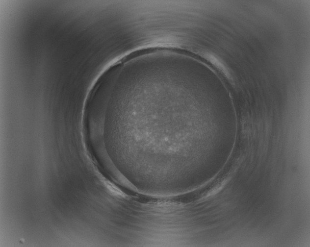 X0000072971077200607211217