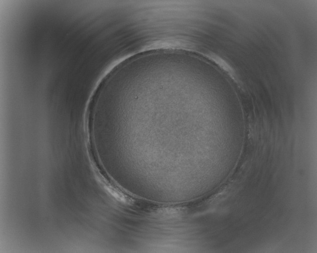 X0000072971078200607211217