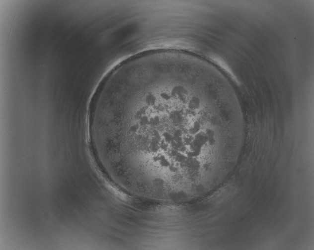 X0000072971079200607211217