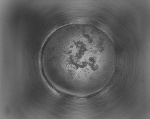 X0000072971083200607211217