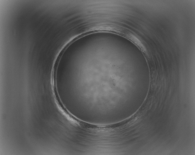 X0000072971084200607211217