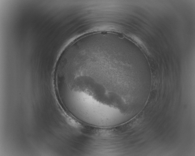 X0000072971086200607211217