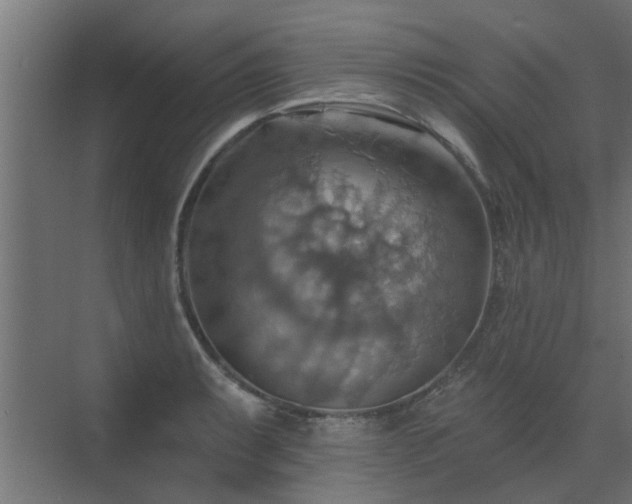 X0000072971087200607211217