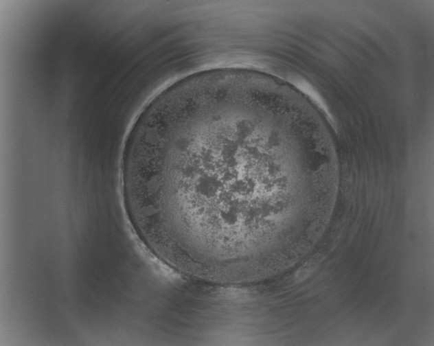 X0000072971088200607211217