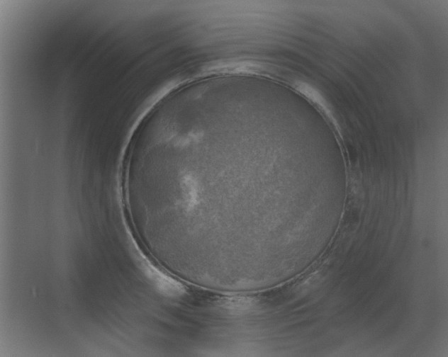 X0000072971090200607211217