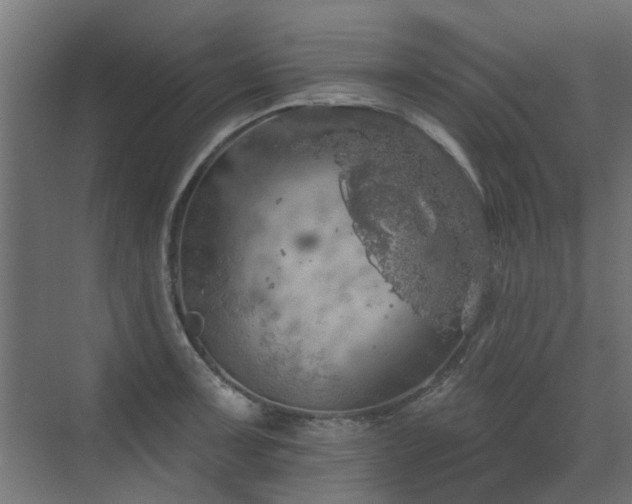 X0000072971091200607211217