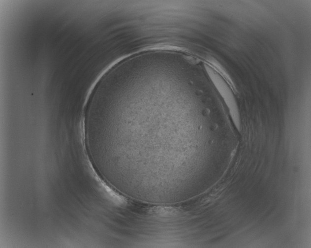 X0000072971092200607211217