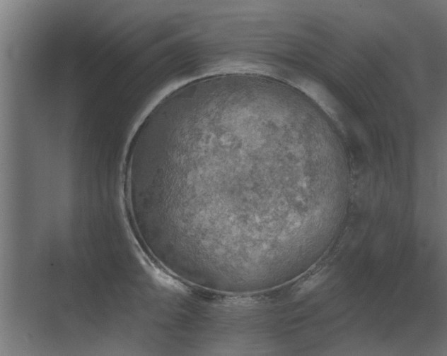 X0000072971094200607211217