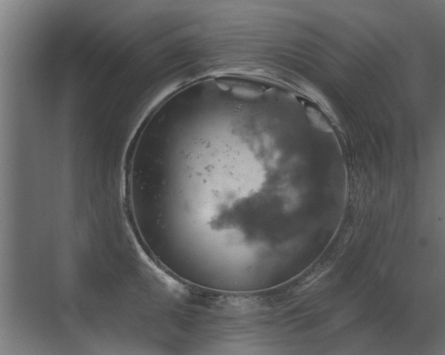 X0000072971095200607211217