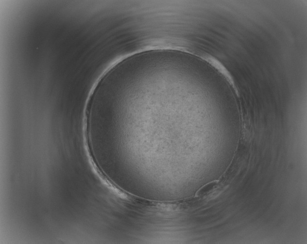 X0000072971096200607211217