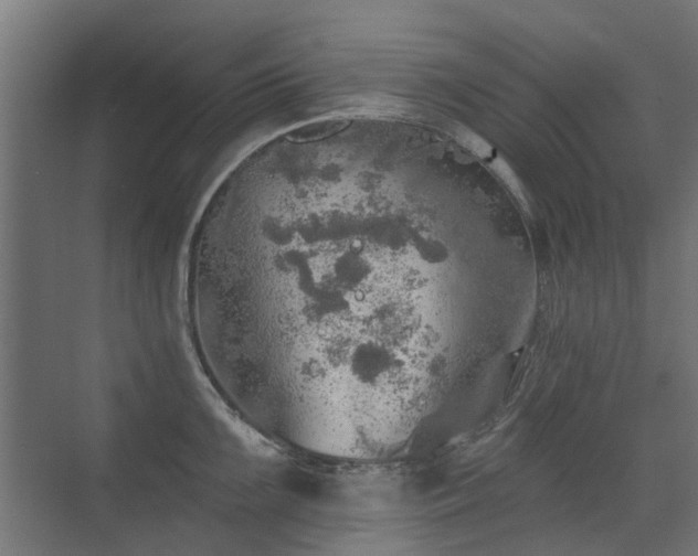 X0000072971099200607211217