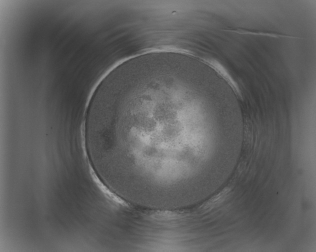 X0000072971100200607211217