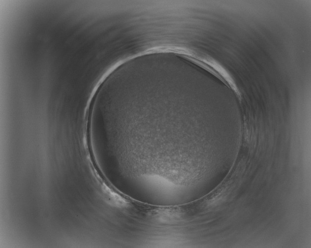 X0000072971102200607211217