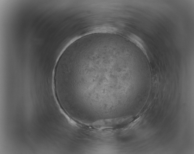 X0000072971103200607211217