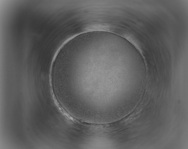 X0000072971104200607211217