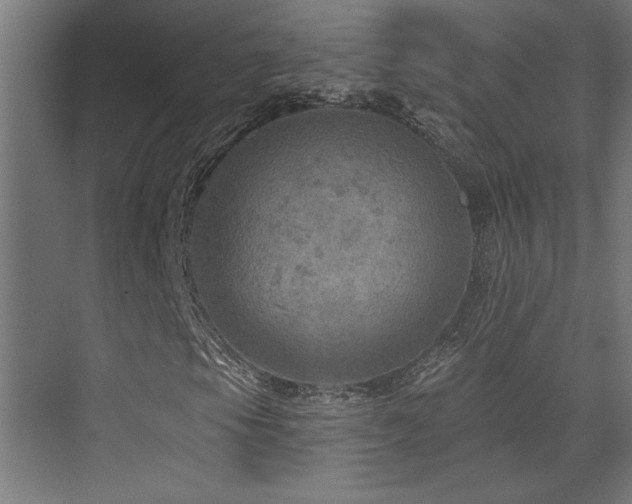 X0000072971105200607211216