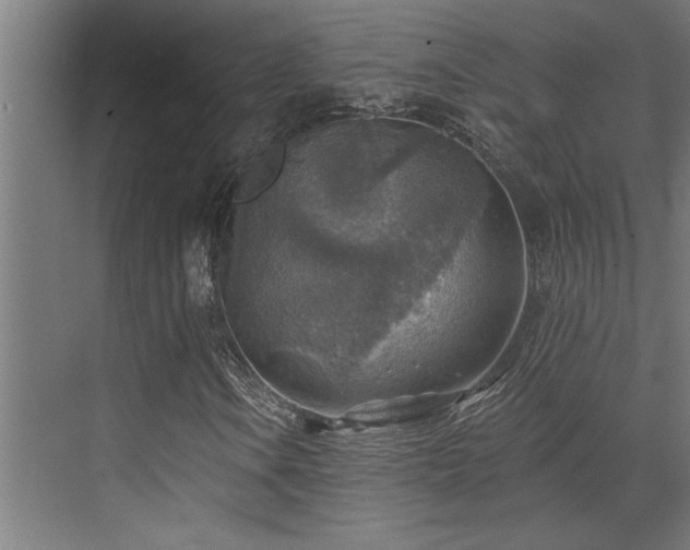 X0000072971106200607211216