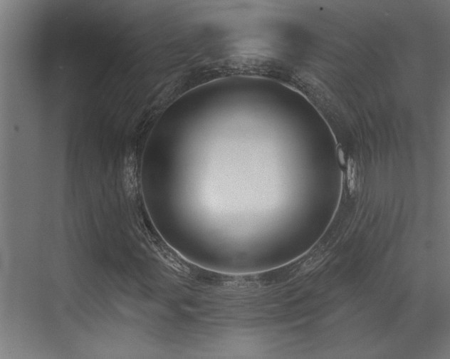 X0000072971107200607211216