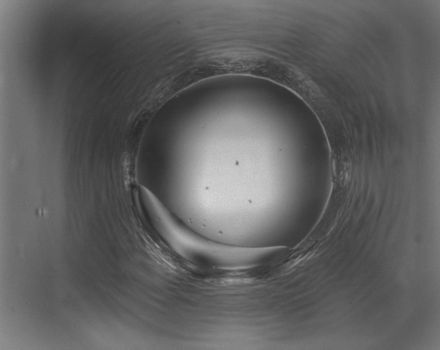 X0000072971108200607211216