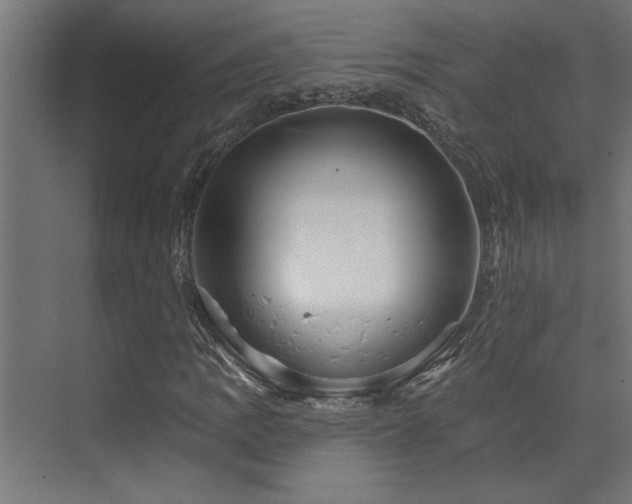 X0000072971109200607211216