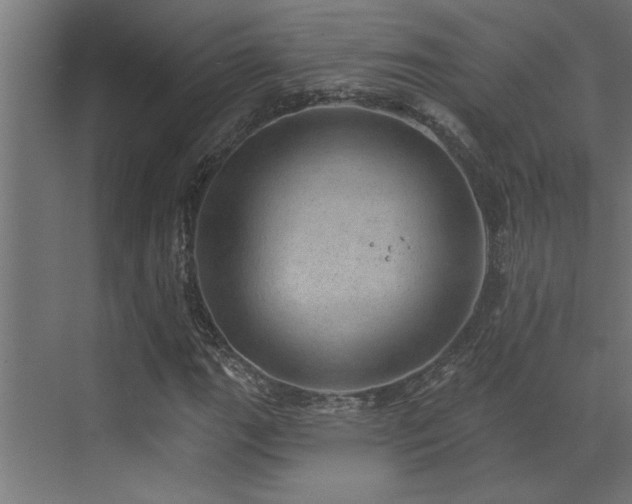 X0000072971111200607211216