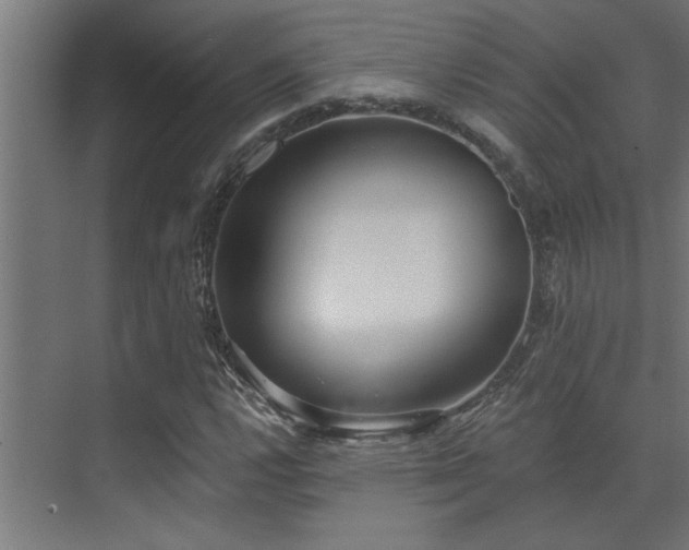 X0000072971112200607211216