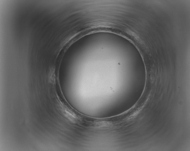 X0000072971113200607211216