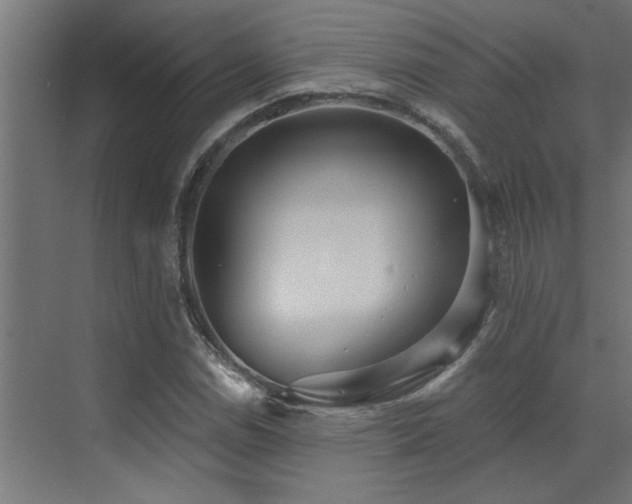 X0000072971114200607211216