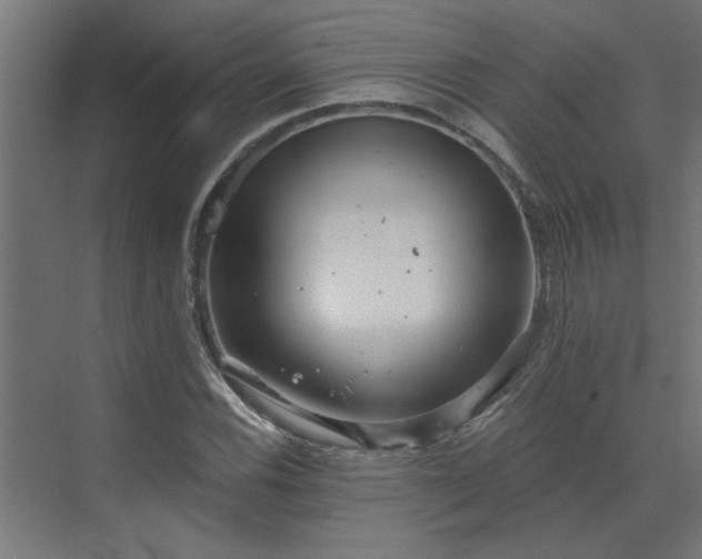 X0000072971116200607211216