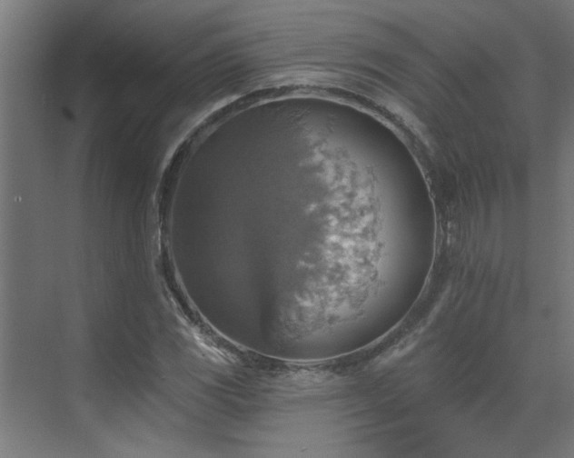 X0000072971117200607211216