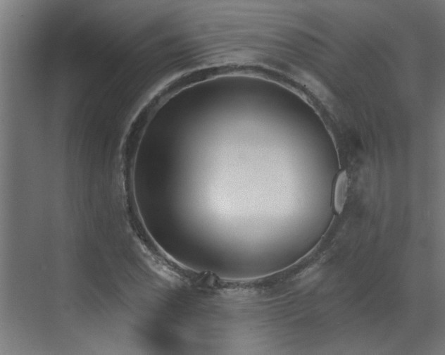 X0000072971118200607211216