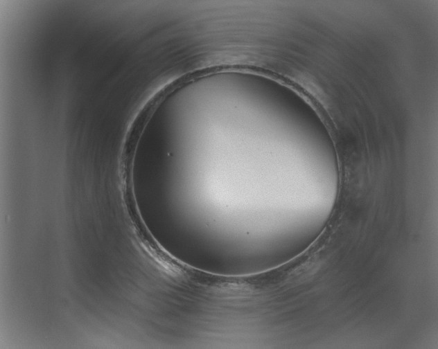 X0000072971119200607211216