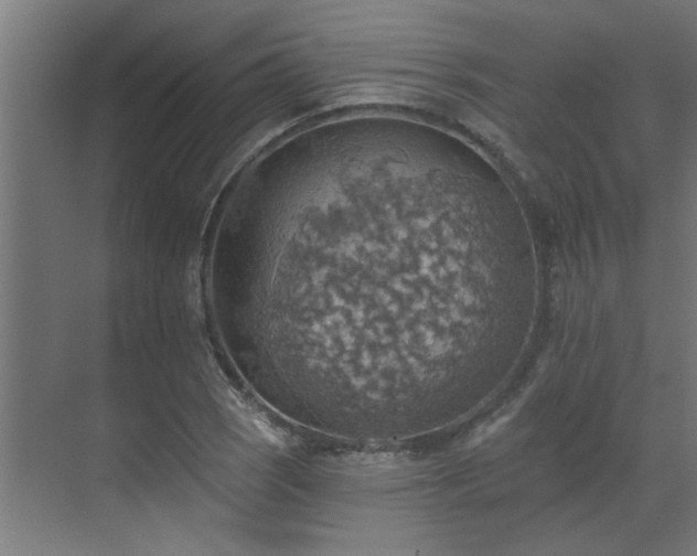 X0000072971121200607211216