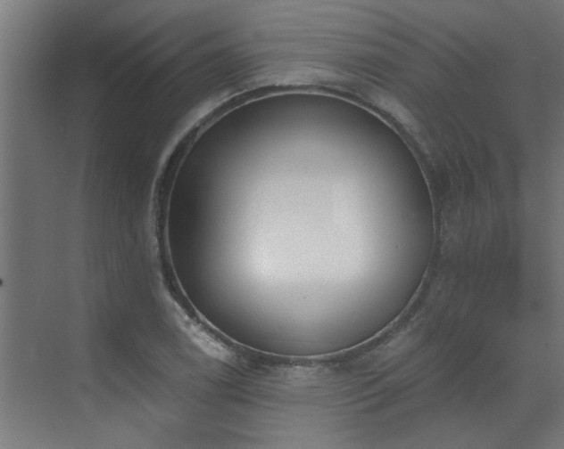 X0000072971122200607211216