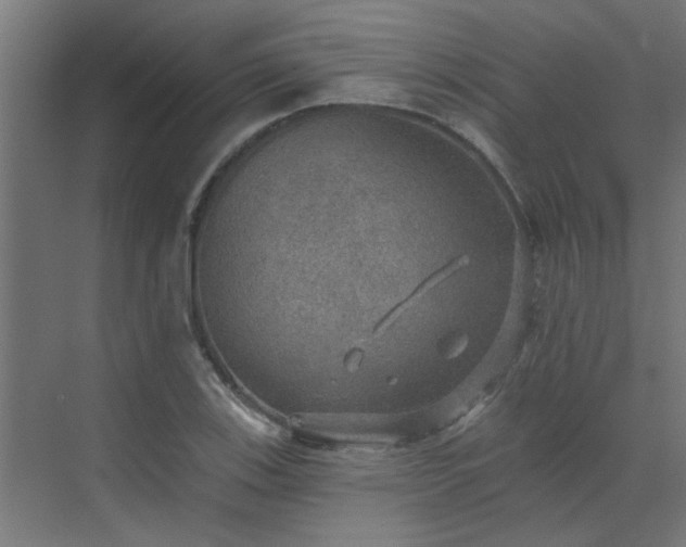 X0000072971123200607211216