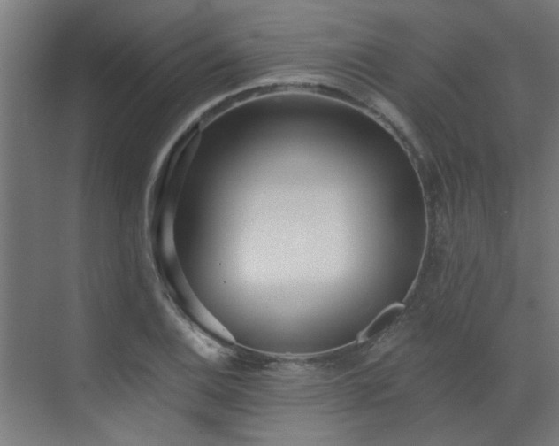 X0000072971124200607211216