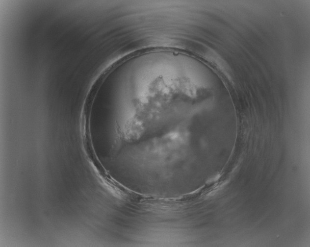 X0000072971125200607211216