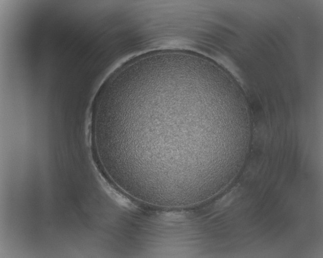 X0000072971126200607211216