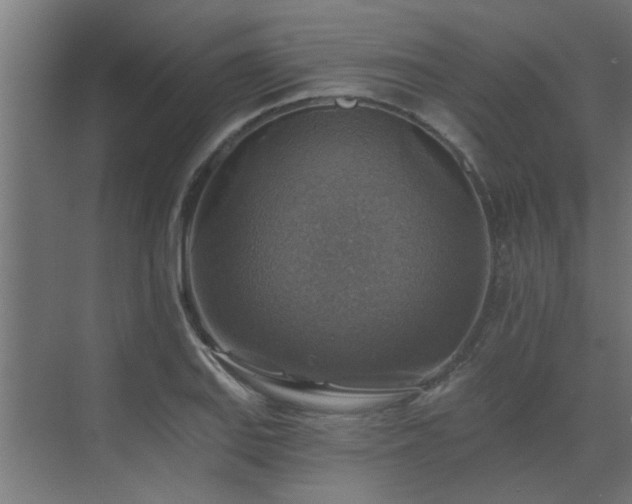 X0000072971127200607211216