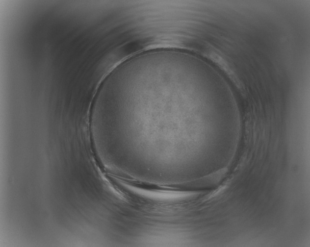 X0000072971129200607211216