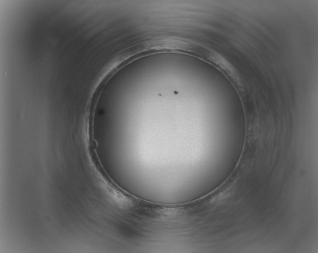 X0000072971130200607211216