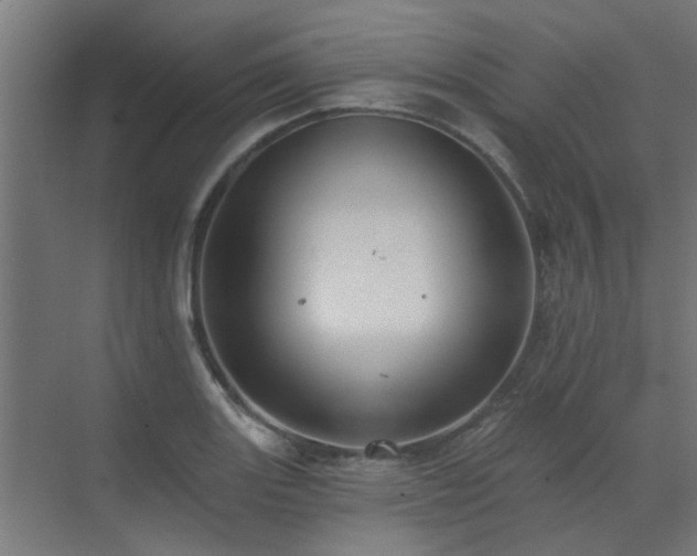 X0000072971131200607211216