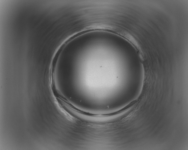 X0000072971132200607211216