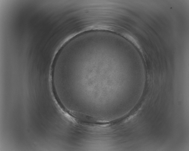 X0000072971133200607211216