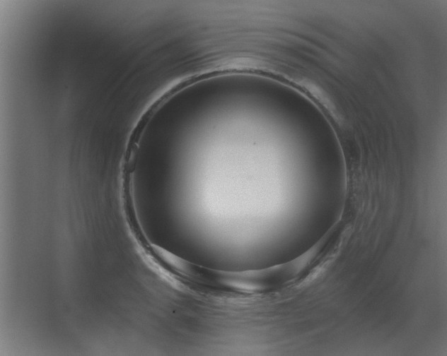 X0000072971134200607211216