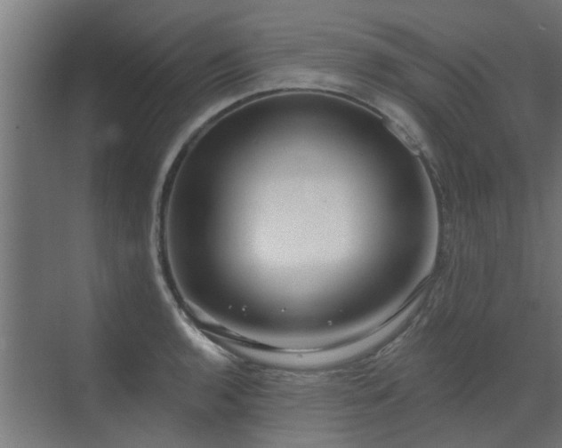 X0000072971136200607211216